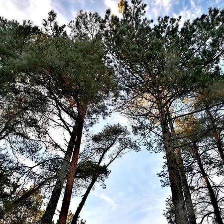Dansk Perle 100 Meter Til Hav Strand Og Natur Tjorneholm